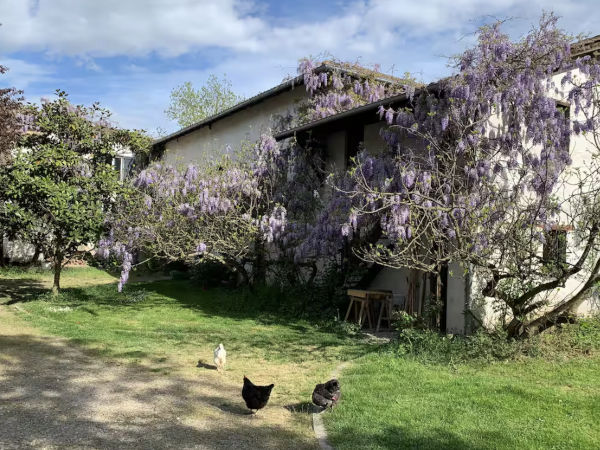 Gîte à la campagne en bord de Saône, entre Dombes et Beaujolais