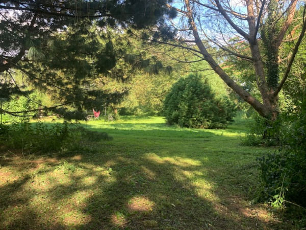 Grand gîte nature en bord de Saône