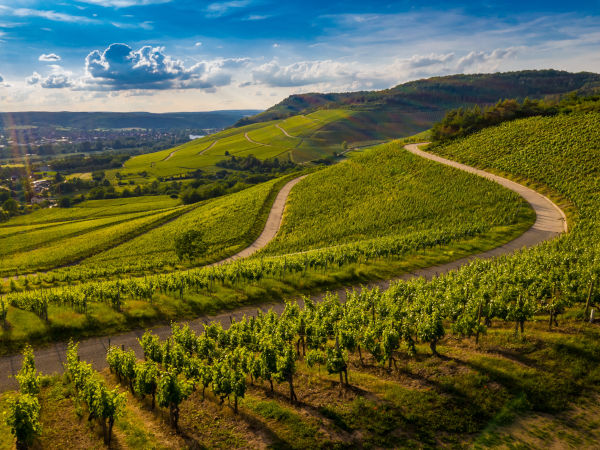 Hébergements en bord de Saône à proximité de Belleville en Beaujolais